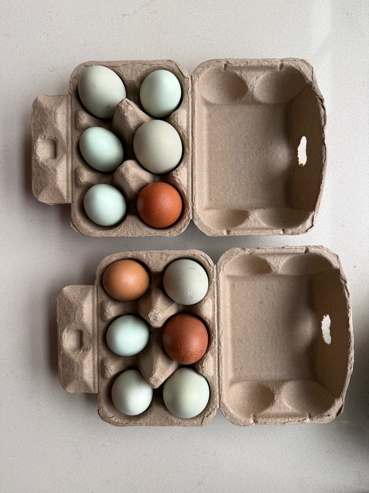 Farm-fresh Pastured Eggs from Free-range Hens - 1/2 dozen