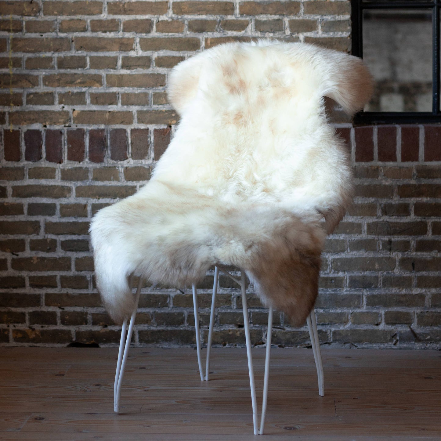 Premium German Black-Headed Sheepskin