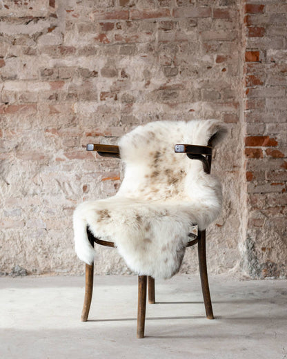Dutch Texel Sheepskin, Mottled