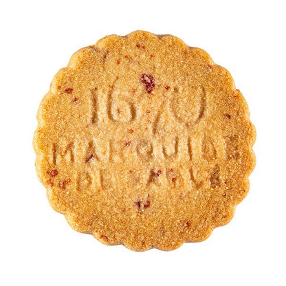 Raspberry Chip French Shortbread Cookies | Tour Eiffel Cube