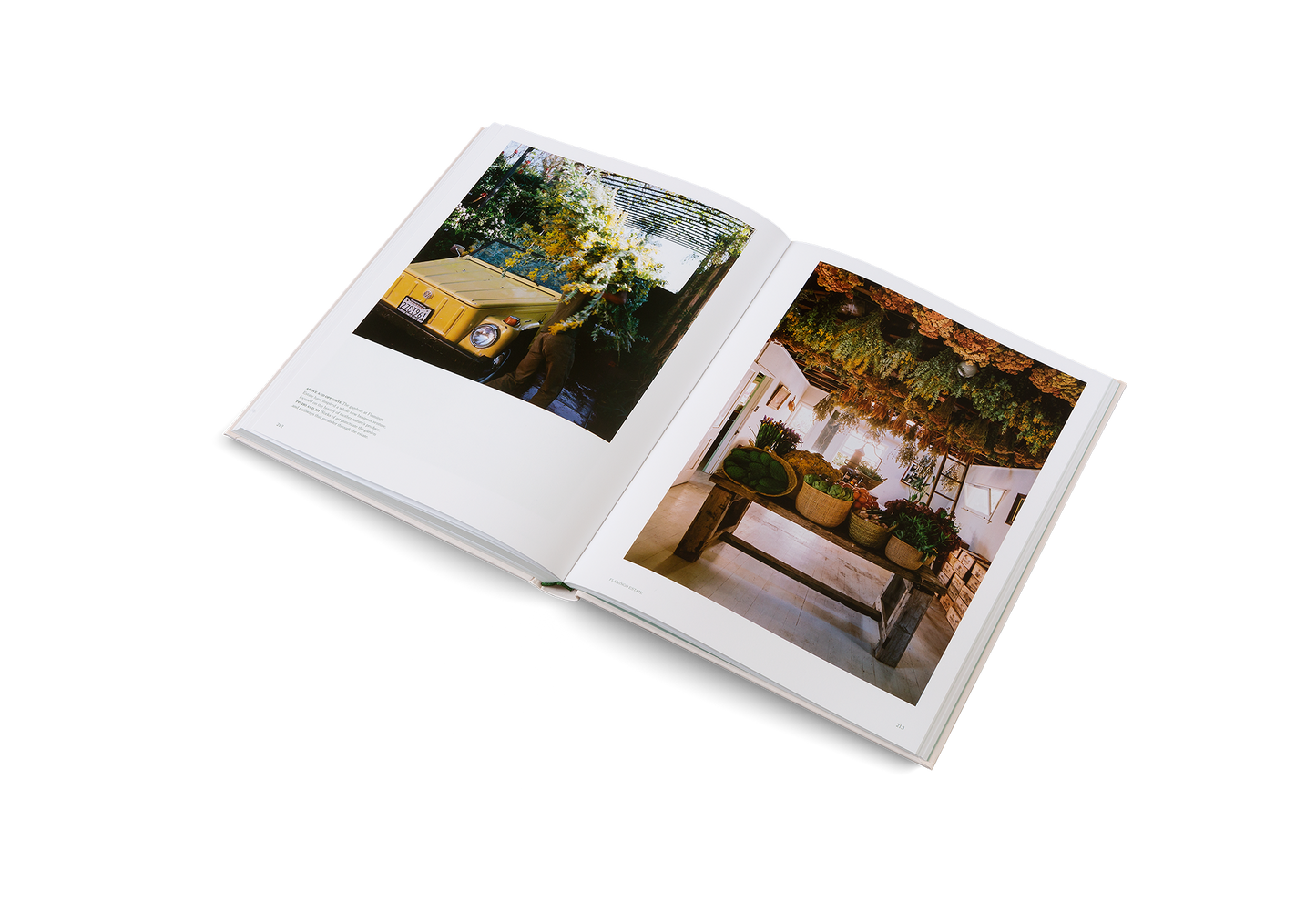 The Avant Gardens Book