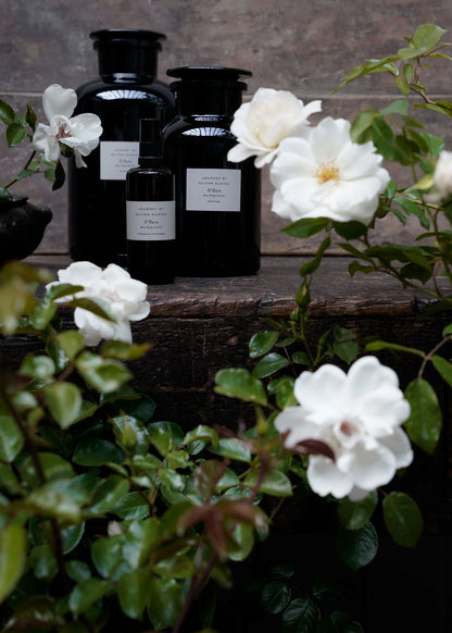 Studio Oliver Gustav Potpourri in Apothecary Jar