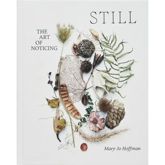Still: The Art of Noticing book Mary Jo Hoffman