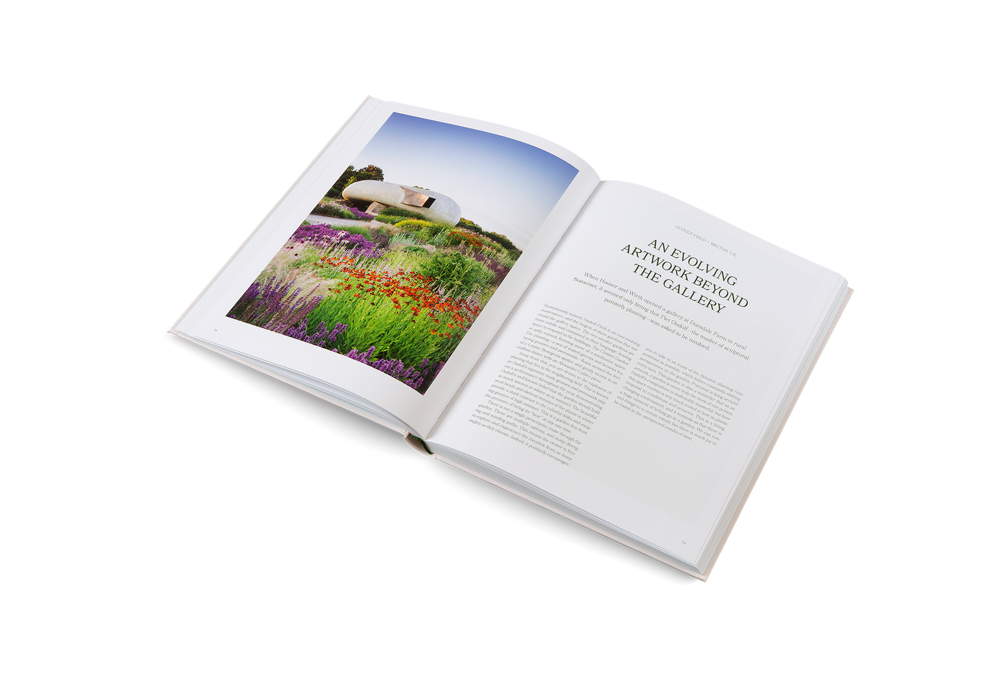 The Avant Gardens Book