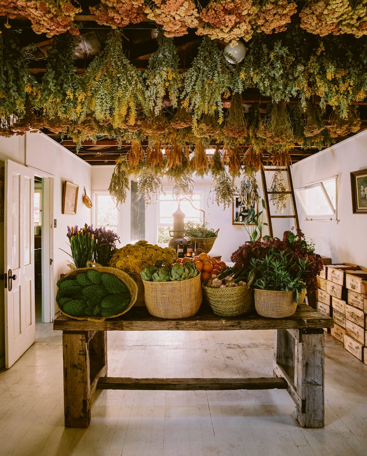 The Avant Gardens Book