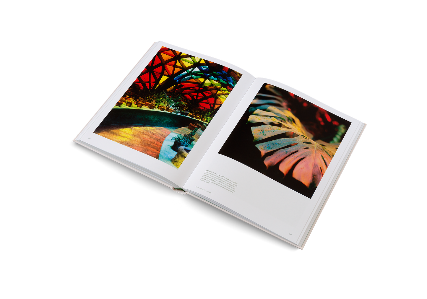 The Avant Gardens Book